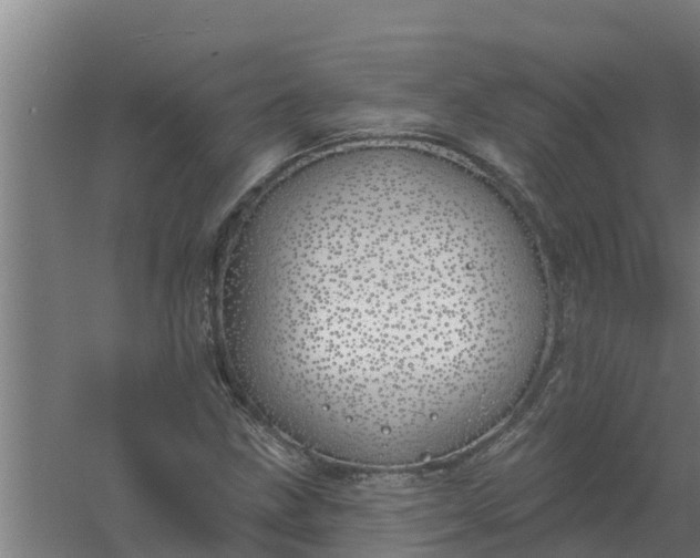 X0000059821211200511041711