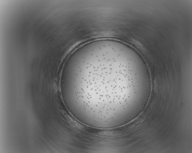 X0000059821212200511041711