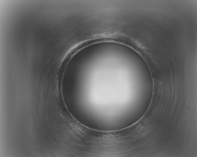 X0000059821214200511041711