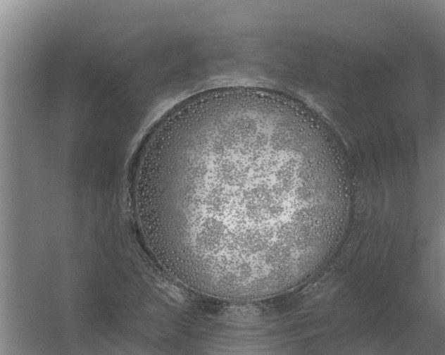 X0000059821215200511041711