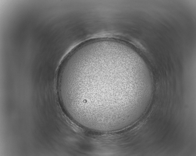 X0000059821216200511041711