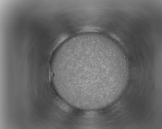 X0000059821219200511041711