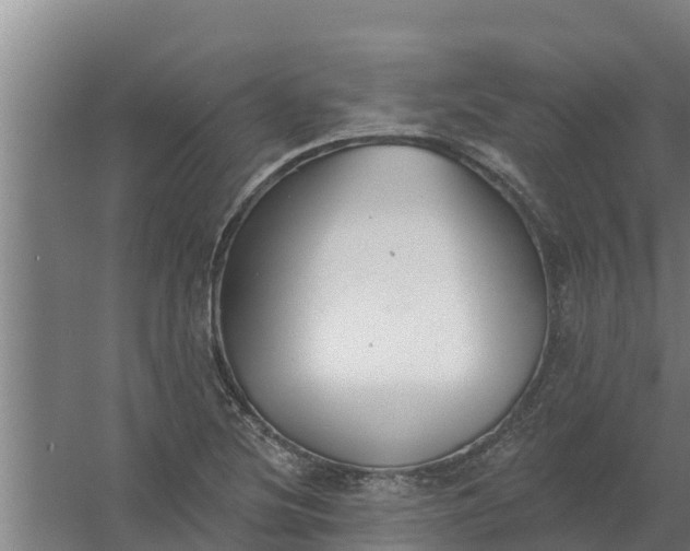 X0000059821220200511041711