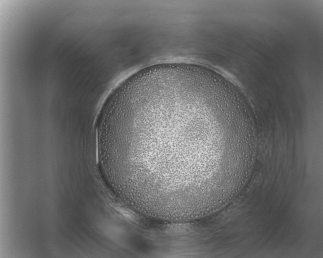 X0000059821223200511041711