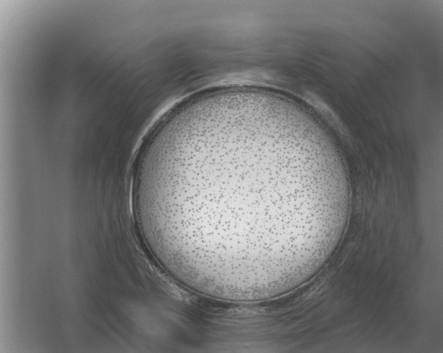 X0000059821224200511041711