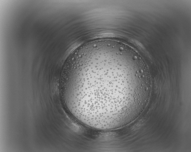 X0000059821225200511041711