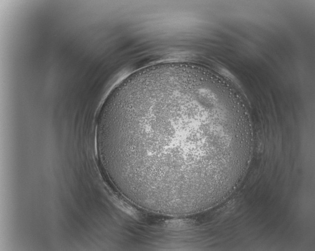 X0000059821227200511041711