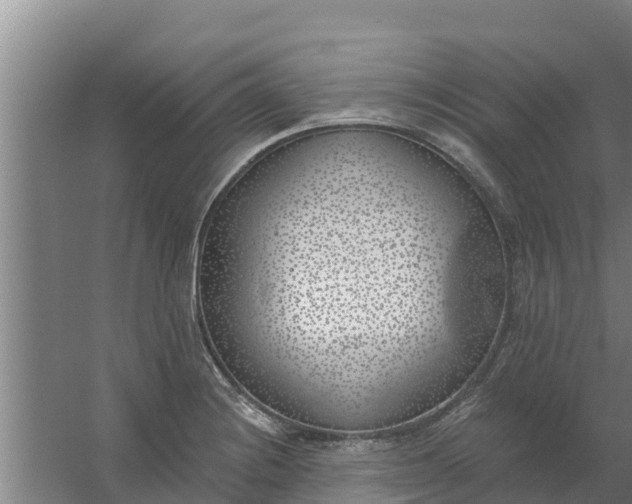 X0000059821228200511041711