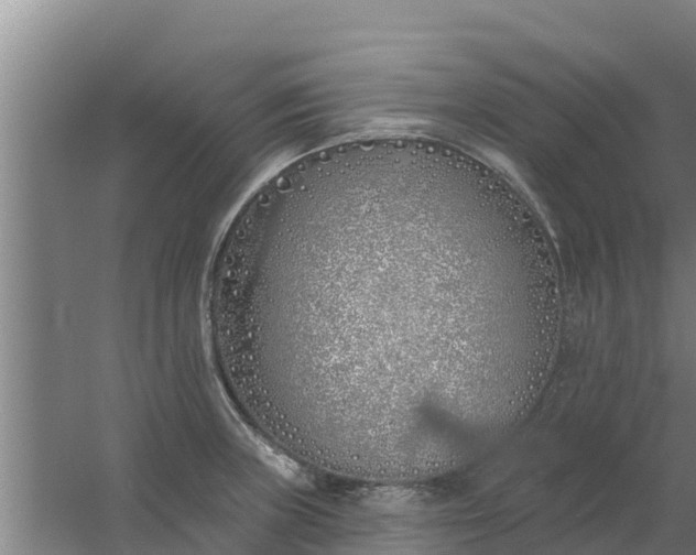 X0000059821235200511041711