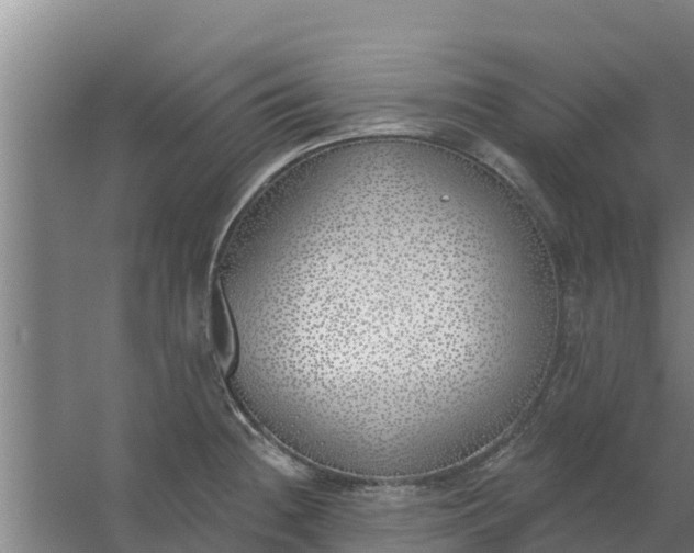 X0000059821236200511041711