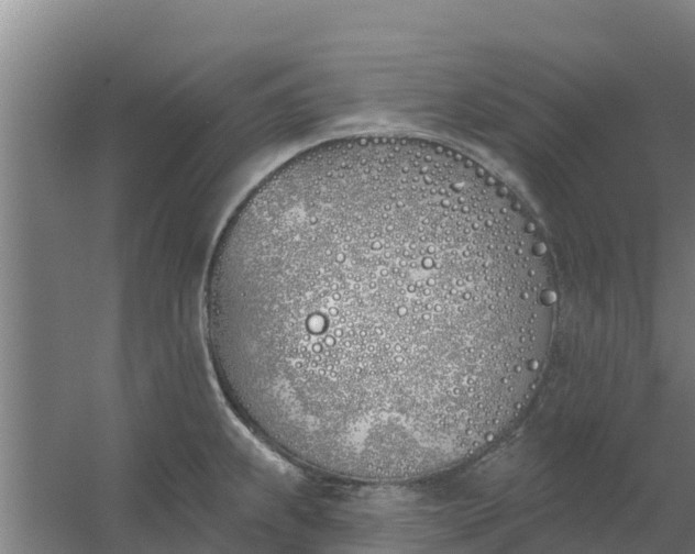 X0000059821239200511041711