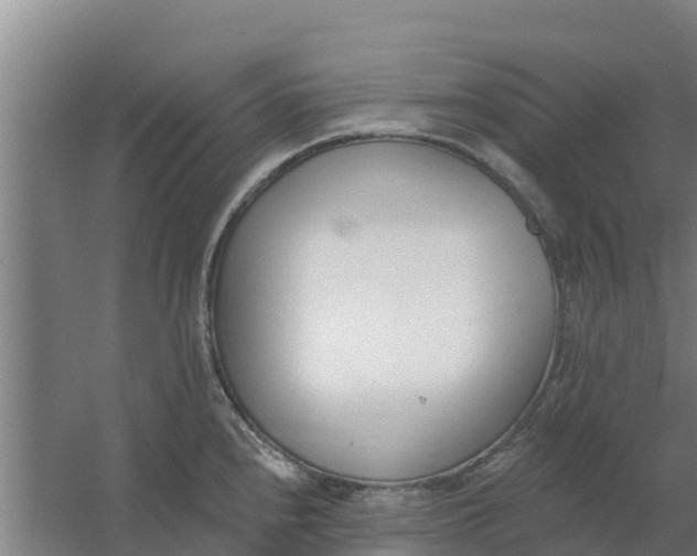 X0000059821240200511041711