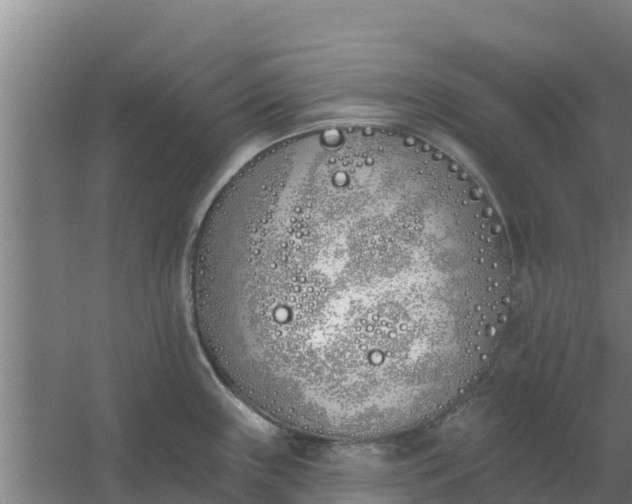 X0000059821243200511041711