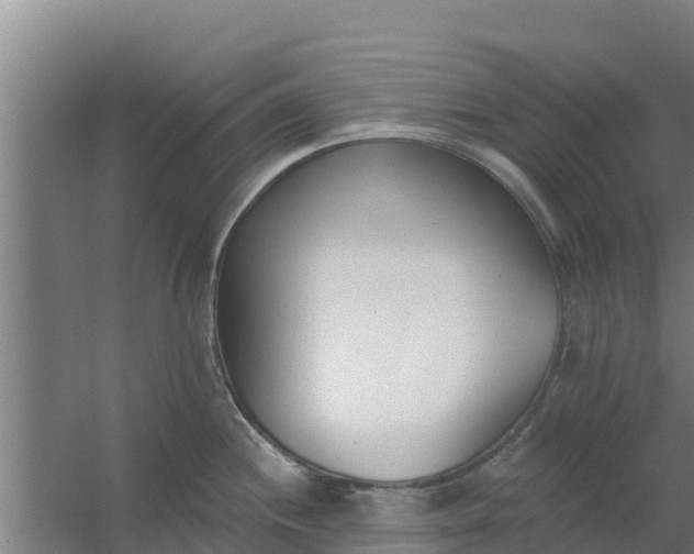 X0000059821244200511041711