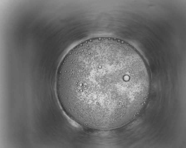 X0000059821245200511041711