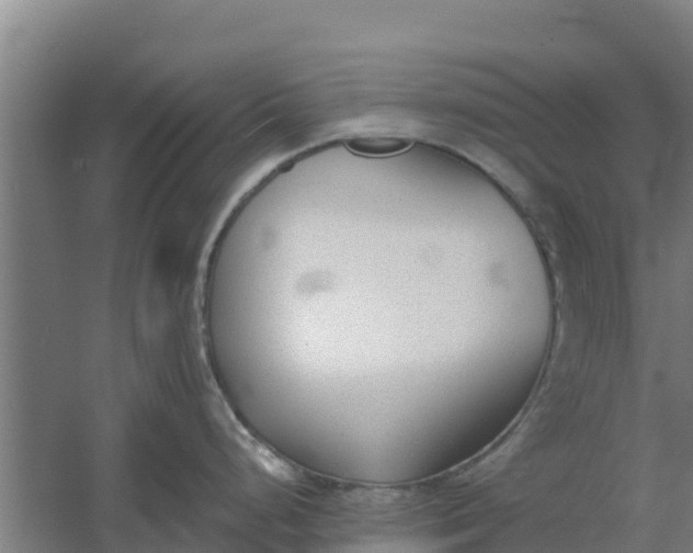 X0000059821248200511041711