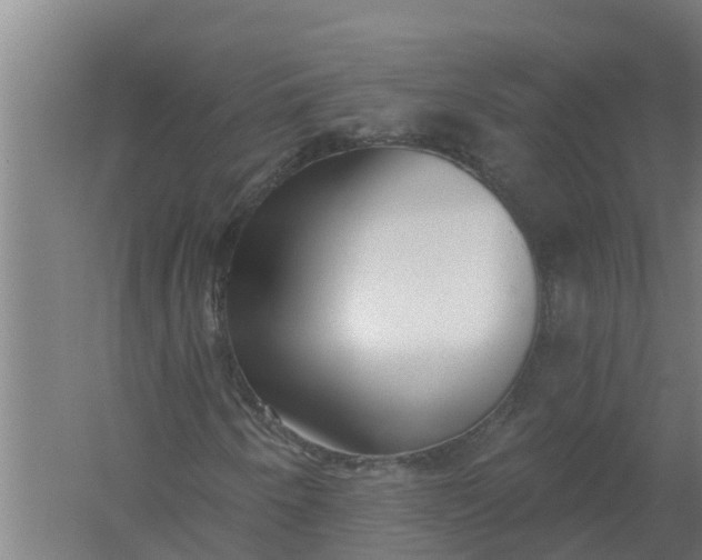 X0000059821250200511041710