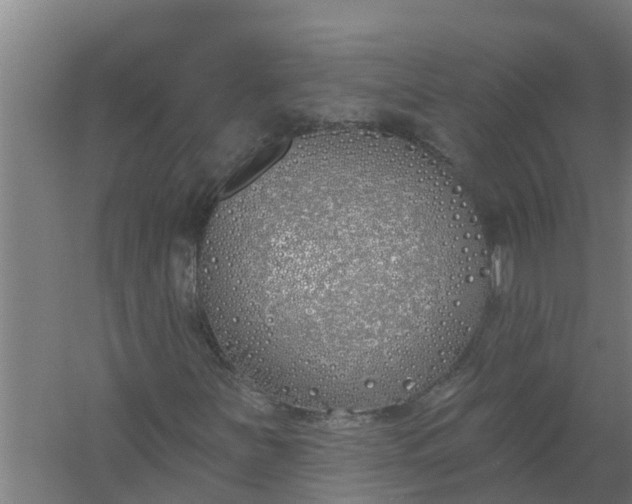 X0000059821251200511041710