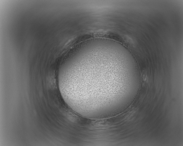 X0000059821252200511041710