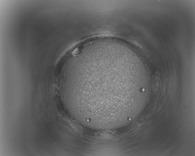 X0000059821255200511041710