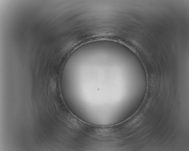 X0000059821257200511041710