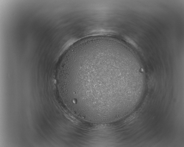 X0000059821259200511041710