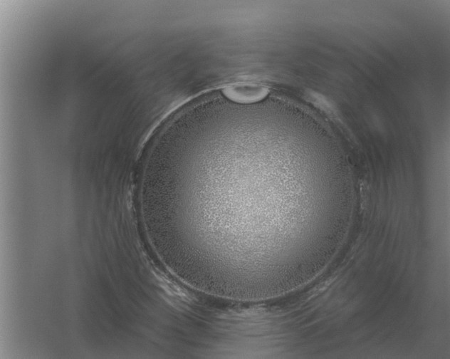 X0000059821260200511041710