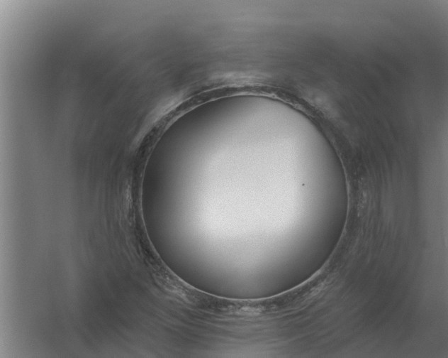 X0000059821261200511041710