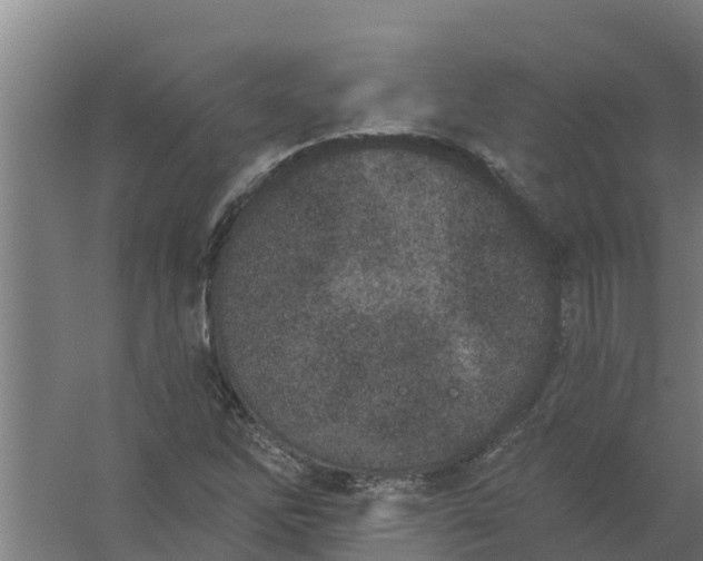 X0000059821262200511041710