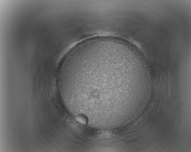 X0000059821263200511041710