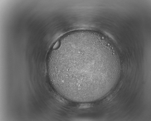 X0000059821267200511041710