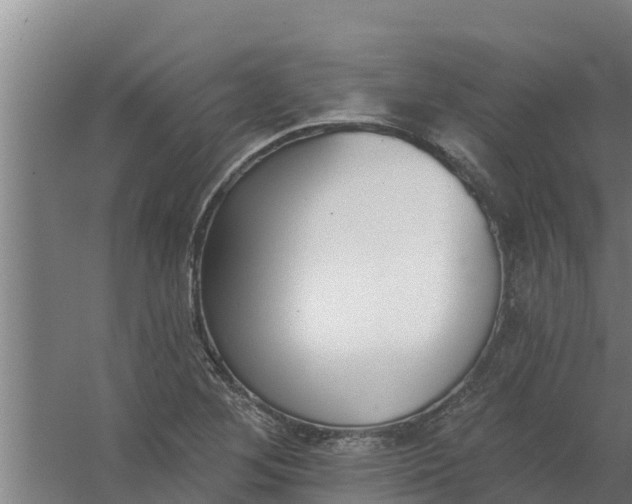 X0000059821268200511041710