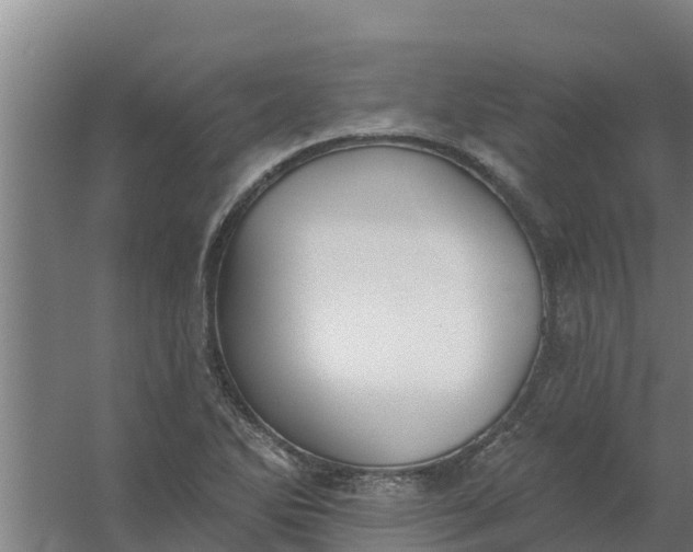 X0000059821270200511041710