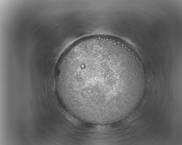 X0000059821271200511041710