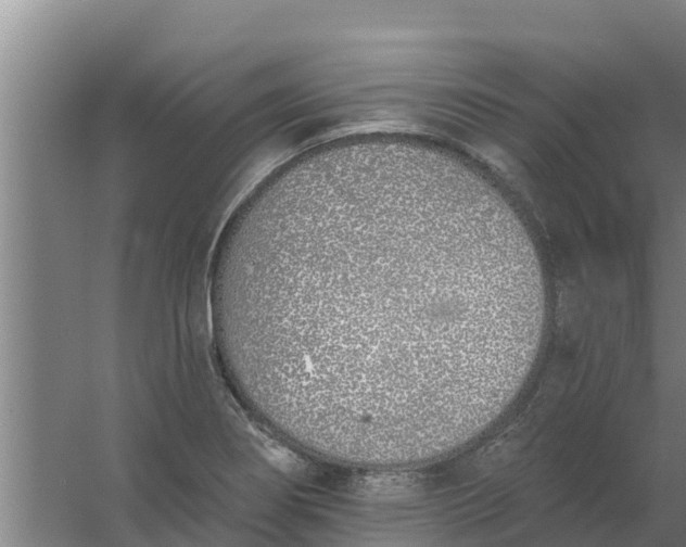 X0000059821274200511041710