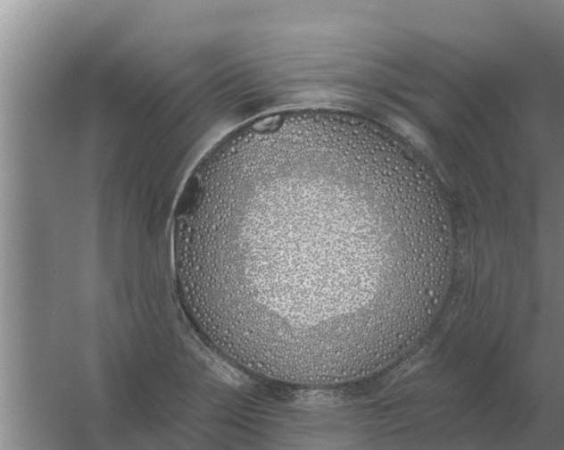 X0000059821275200511041710