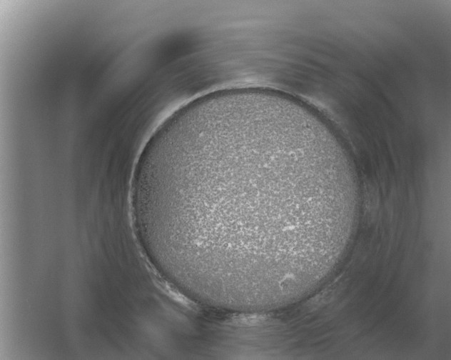 X0000059821278200511041710