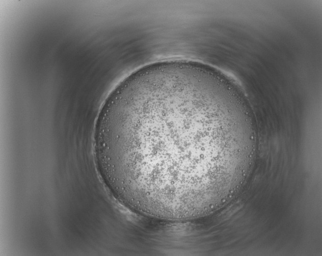 X0000059821279200511041710