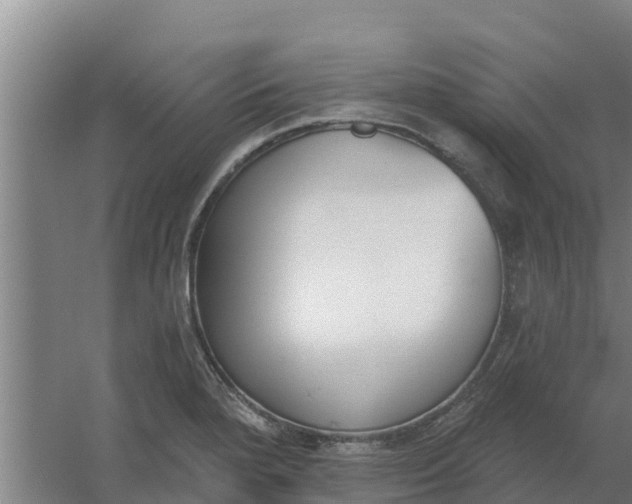 X0000059821280200511041710