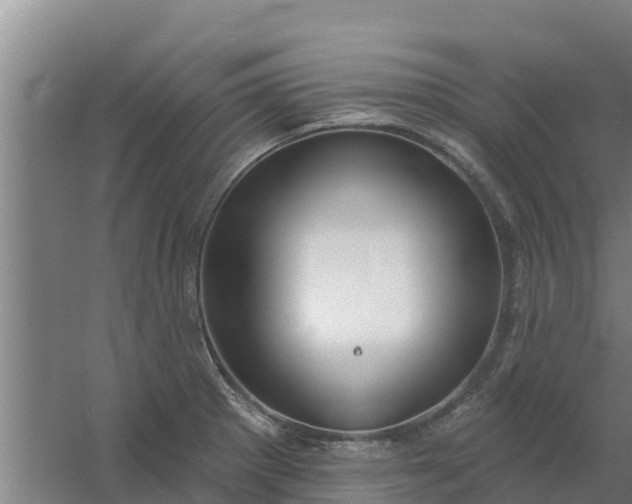 X0000059821281200511041710