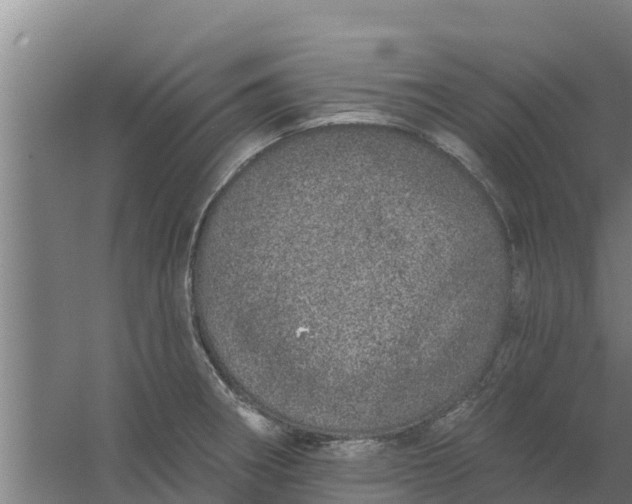 X0000059821282200511041710