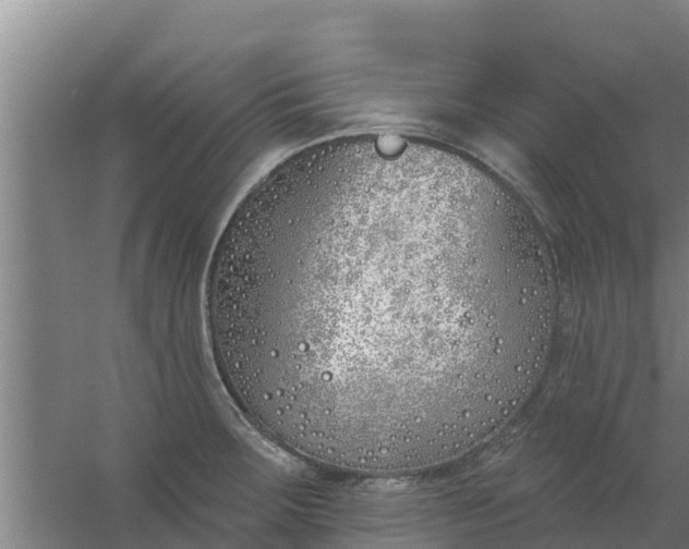 X0000059821283200511041710