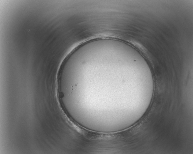 X0000059821286200511041710