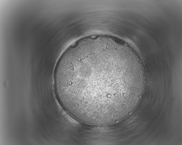 X0000059821287200511041710