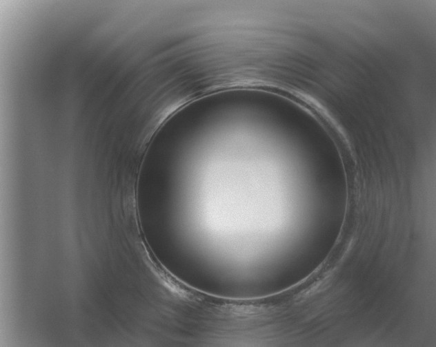 X0000059821289200511041710