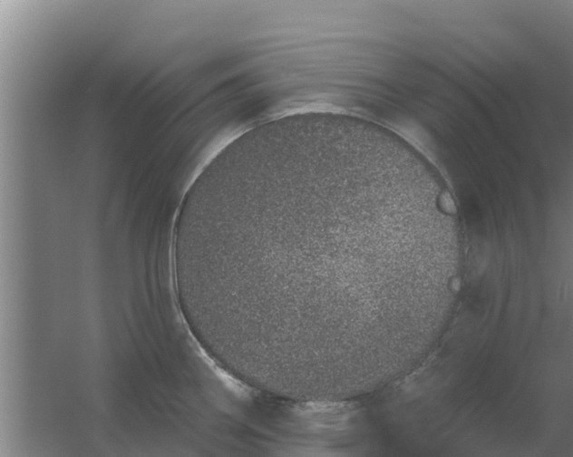 X0000059821290200511041710