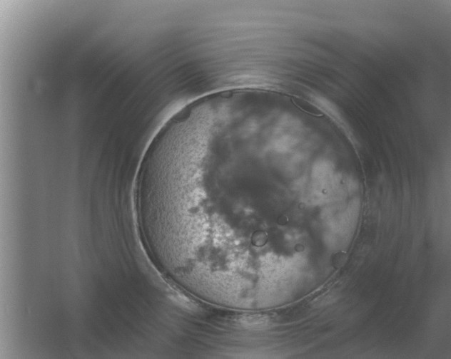 X0000059821291200511041710