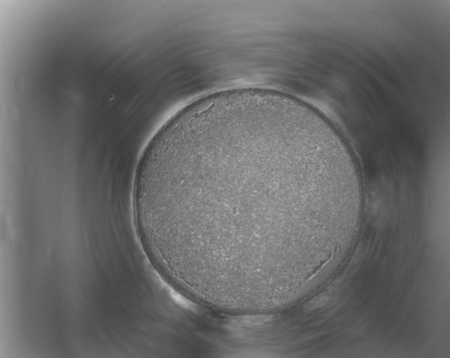 X0000059821294200511041710