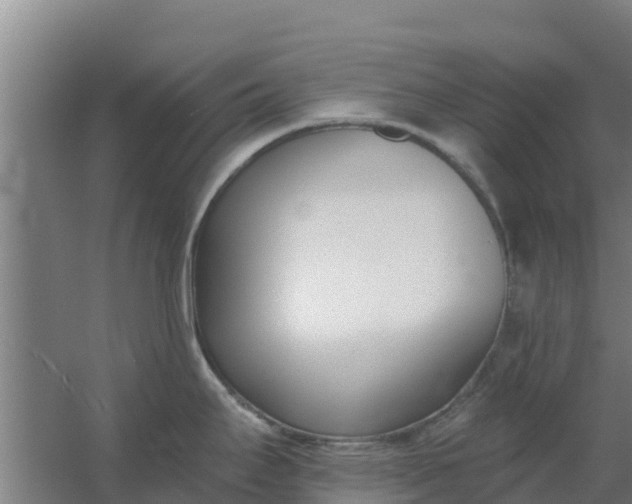 X0000059821295200511041710