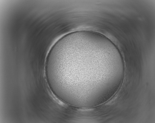 X0000059821296200511041710